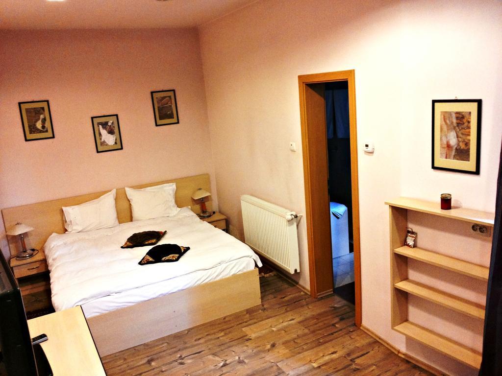 Lucas 10 Apartments Клуж-Напока Номер фото